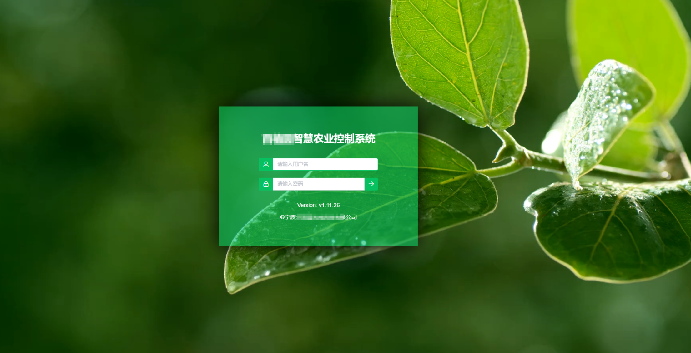 软件开发--管理系统开发